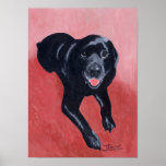 Copie noire d'art de portrait de Labrador Affiche