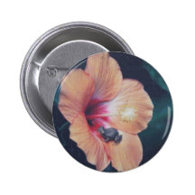 COQUI BUTTONS