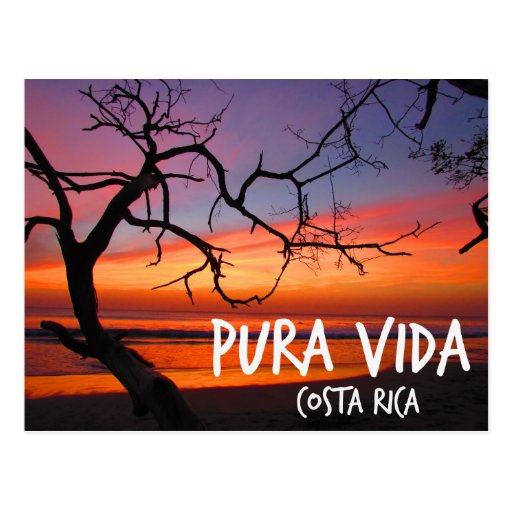 Vida soleil coupon code