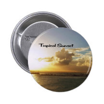 Coucher du soleil tropical pin's