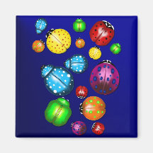 Coussin d'insecte de couleur magnets