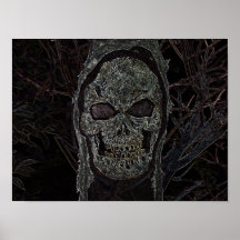 Crâne Posters