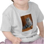 Crème persane et bleue t-shirts