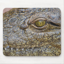Crocodile du Nil d'Afrique Tapis De Souris