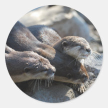 Cuddling Otters Sticker