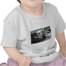 Cuddling Otters Tshirt