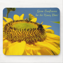 Cultivez les tournesols pour les abeilles de miel 