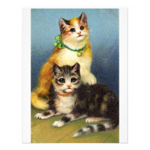 *Cute Kittens* Vintag Ankündigungskarten