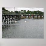 Cygnes dans le waterscape posters