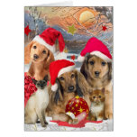Dachshund-u. Freund-Weihnachtsversammlung Grußkarten