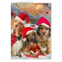 Dachshund-u. Freund-Weihnachtsversammlung Grußkarten