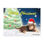 Dachshund Weihnachtsbaum Postcard