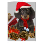 Dachshundweihnachten und -verzierungen karte