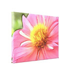 Dahlia rose rêveur impressions sur toile