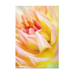 Dahlia Toiles Tendues Sur Châssis