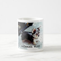 DALILA, MORKIES REGEL TEETASSE