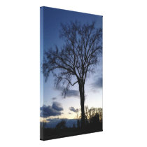 Dämmerung am Baum im Winter auf Segeltuch Galerie Faltleinwand
