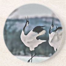 Danse de deux oiseaux dessous de verre