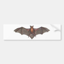 Darwin liebte Schläger glückliches Halloween Auto Sticker