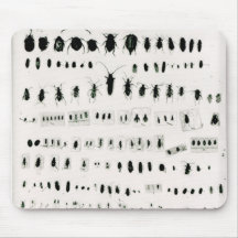 Darwins Insektensammlung Mauspads