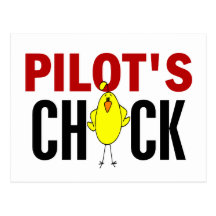 DAS KÜKEN DES PILOT POSTKARTE