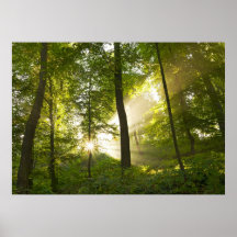 Das Licht Posterdruck