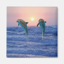 Dauphins au lever de soleil aimants
