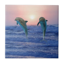 Dauphins au lever de soleil carreau