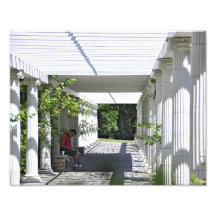 DavidPergola Foto