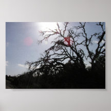 Dead_Tree_E-Rock2 Posters