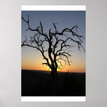 Dead_Tree_Sunset_Erock Affiche