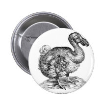 Der Dodo Anstecknadelbuttons