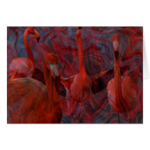 Der Flamingo-Tanz Karten