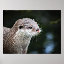 Der ist Otter-Unsinn Posterdrucke