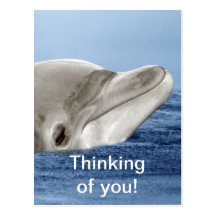 Der lächelnde Delphin Postkarten