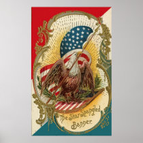 Der Stern Spangled Fahnen-Eagle-Flagge-Druck