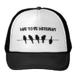 Des oiseaux sur un fil - osez être différent casquette