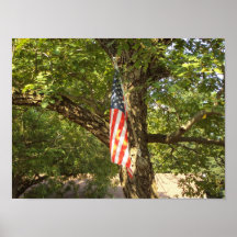 Devenez écolo Etats-Unis Affiche