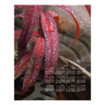 Diamant verziertes Blatt; Kalender 2013 Fotografischer Druck
