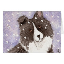 Die Bi-schwarzer Shetlandinseln-Schäferhund "Snowy Grußkarte