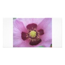 Die Blume Foto Karten