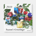 Die Grüße der Jahreszeit! 2010 Magnets