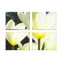 Die vier Platten-Tulpe-botanische Leinwand druckt 
