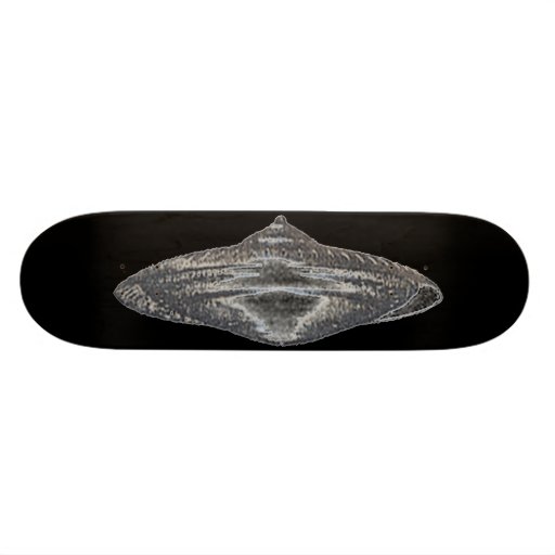 Dieses ist, wie ich rolle individuelle skatedecks