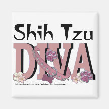 DIVA Shih Tzu Magnete