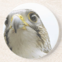 Divers oiseaux dessous de verre