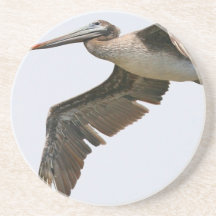 Divers oiseaux dessous de verres