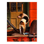 DODGE 1915 UND HUND POSTKARTE