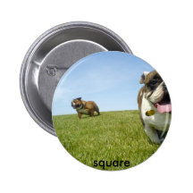 dogsatpark1, Quadrat Button