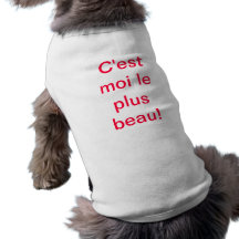 dogtrikot hundekleidung
